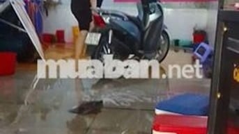 Kymco People Xanh 8977 km