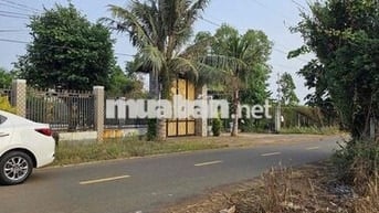 kẹt tiền ngân hàng bán gấp lô đất 206m2(80mthổ cư)