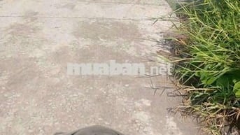 Đất thổ cư đường đá xanh 3 mét.