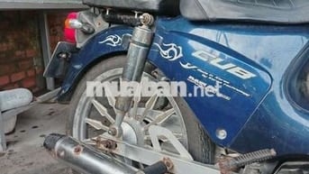 Honda Cub 50cc Xanh, Trắng