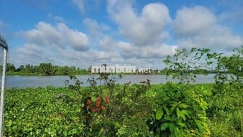 Bán đất Nghỉ Dưỡng view sông Vàm Cỏ Đông đẹp tại Hoà Khánh