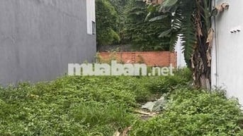 Ban Đất Thổ Cư 92m2 gần nhà máy nước Tân Hiệp gần chợ gần trường cấp 1