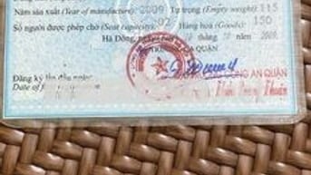 Honda Lead 2009 Trắng 82756 km