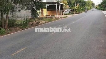 Bán đất đường nhựa  lớn DH 515 Phước Hòa, DT: 5 x 55m x 100TC