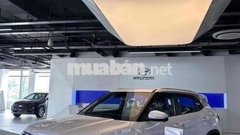 Hyundai Mới 100%