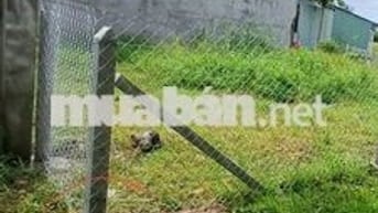 🔥 BÁN ĐẤT THỔ CƯ – XÓM ĐỒNG THANH, PHƯỚC TÂY NINH 🔥
