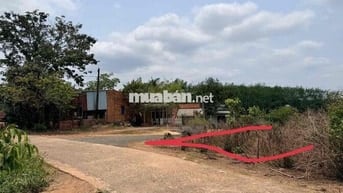 đất thổ cư ngay khu du lịch quả điều vàng gần quốc lộ 14