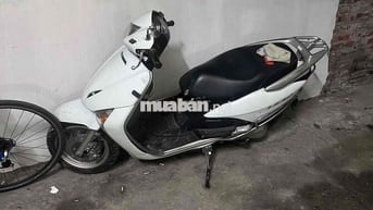 Honda Lead Trắng