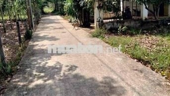 Chính chủ bán đất Thanh An, gần Chợ , UBND - đường xe hơi - pháp lý đầ