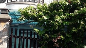 Cho thuê nhà để ở,kinh doanh hẻm xe hơi, rộng, gần chợ Hiệp Bình, trườ