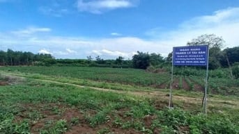 Công ty Đấu giá hợp danh Lam Sơn Sài Gòn THÔNG BÁO ĐẤU GIÁ TÀI SẢN
