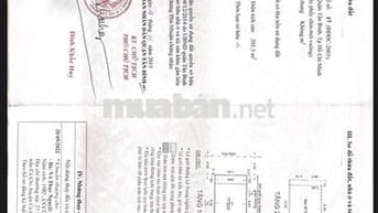 Bán nhà 37/17 Nguyễn Minh Hoàng p12 tân bình giá 23.5 tỷ