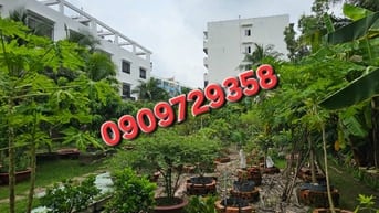 Mặt tiền Lê Tấn Bê - Đất đẹp - Chỉ 188 tỷ