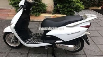 Honda Lead Trắng