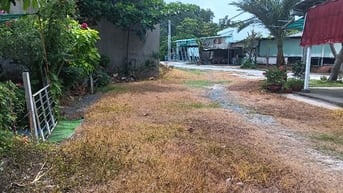CHO THUÊ ĐẤT LÀM NÔNG NGHIỆP- CHĂN NUÔI