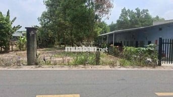 Chỉ 420Triệu Sỡ Hữu Ngay Lô Đất 500m2 Cạnh Chợ Trừ Văn Thố,Bàu Bàng