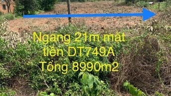 bán đấy vườn cao su măt tiền đường 749 xã minh thạnh