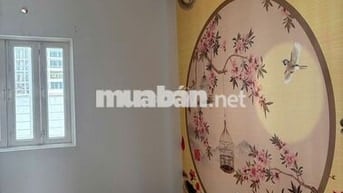 Nhà 5x20m, 4 tầng, KDC Hiệp Ân, P.5, Q.8