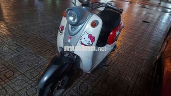 SINDY 50 Đỏ trắng