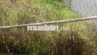 Đất Chính chủ Hòa Bình 4 - Trảng Bàng