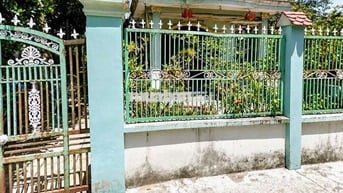 Nhà cấp 4 SHR 1/Tân Hiệp 8-Hóc Môn.Dt 9,7x30,7~297m2~6,7ty