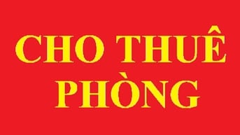 Cho thuê phòng Địa chi 11 F/18 Bach  Đằng, Tân Sân Nhì, 20m2, từ 2,8tr