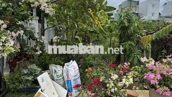 Bán đất thạnh xuân 25 , phường thới an