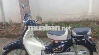 Honda Cub 50 2025 Xanh trắng