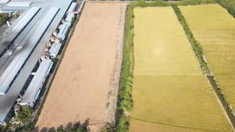 Hơn 1,4ha đất công nghiệp tại KCN Hòa Bình sản xuất thức ăn chăn nuôi