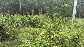 Công ty Đấu giá hợp danh Lam Sơn Sài Gòn THÔNG BÁO ĐẤU GIÁ TÀI SẢN