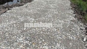 lô đất vườn 540m2 giá 375tr thủ thừa ô tô tới đấy