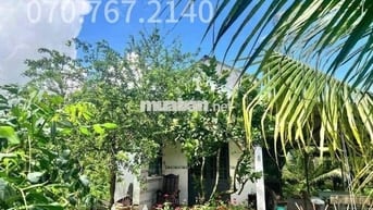 CHỦ KẸT TIỀN CẦN BÁN GẤP NHÀ VƯỜN