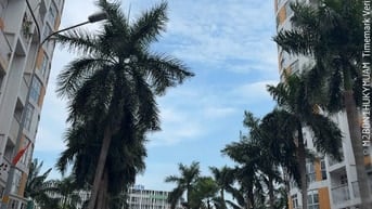 Chính chủ bán CH Conic Skyway, 79m2, 2PN, 2WC. Sổ Hồng, giá: 2,8 tỷ 
