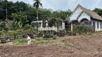 Đất đẹp ngay Sân Gold, Trung Tam Hành Chính Đồng Nai