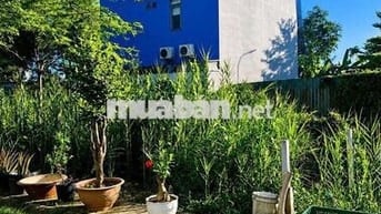 🔥 ĐẤT ĐẸP NGANG 7.3M – ĐƯỜNG NHỰA 8M – NHƠN ĐỨC, NHÀ BÈ