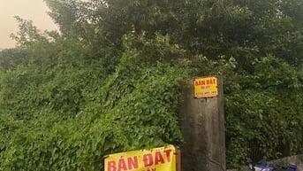 Bán Đất Bình Chánh 5x44.5 ( Tương lai Trường Học sát bên đường 20m