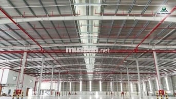 CHO THUÊ NHÀ XƯỞNG MỚI XÂY TẠI KCN TÂN ĐỨC , Đức Hoà Long An 