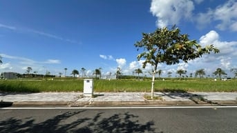 CTY ĐẤU GIÁ HỢP DANH TRỰC TUYẾN VIỆT NAM (VNOA) TỔ CHỨC ĐẤU GIÁ