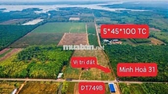 Đất trực thuộc TPHCM giá rẻ nằm cạnh Khu công nghiệp và khu du lịch