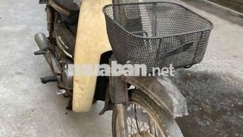 Xe máy City màu Nâu