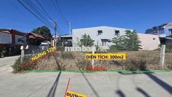 💝Bán gấp LÔ GÓC Diện Tích Lớn 300m sát vành đai NAM KÌ KHỞI NGHĨA💝