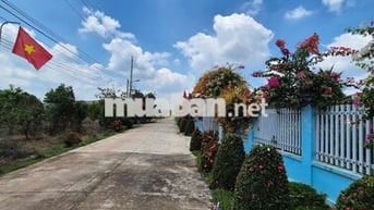 Cần Bán Lô Đất Khu Bắc Sài Gòn 540tr Ngay Trung Tâm Xã An Long TP.HCM