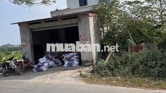 cho thuê nhà phụng châu chương mỹ