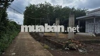 Đất giá tốt, chủ kẹt nợ, nên tách bán 1 phần đất