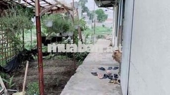 cho thuê phòng trọ ngay chợ thới hoà, KCN vĩnh lộc