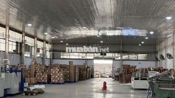 Cho thuê kho Nguyễn Hữu Thọ – 1500m2 – kho đẹp – container 24/7