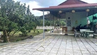 Bán gấp mảnh vườn có nhà cấp 4 ,cây ăn trái 2500m2  giá chỉ 650 triệu