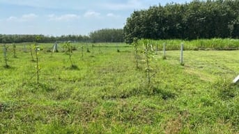 Bán 304 m2 đất vườn tại An Nhơn Tây củ chi