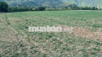 bán lô đất 1000m có 150m đất ở hoà bắc phường hải vân