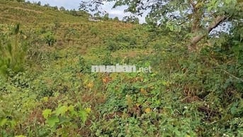 🚩 5400m2 Đất view hồ Đambri 50x110m